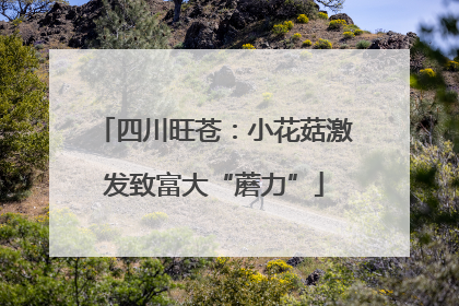 四川旺苍：小花菇激发致富大“蘑力”
