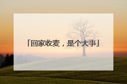 回家收麦，是个大事