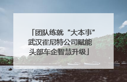 团队练就“大本事” 武汉霍尼特公司赋能头部车企智慧升级