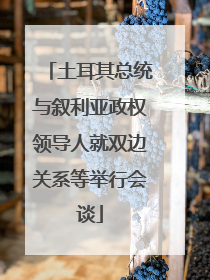 土耳其总统与叙利亚政权领导人就双边关系等举行会谈