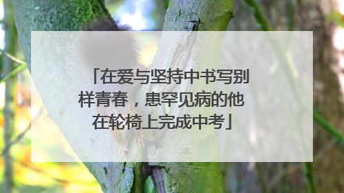 在爱与坚持中书写别样青春，患罕见病的他在轮椅上完成中考