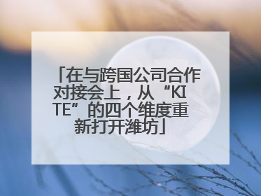 在与跨国公司合作对接会上，从“KITE”的四个维度重新打开潍坊