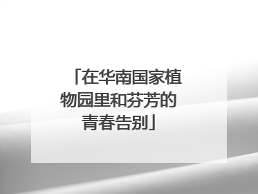 在华南国家植物园里和芬芳的青春告别
