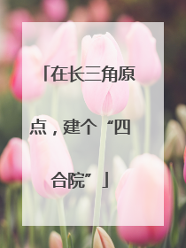 在长三角原点，建个“四合院”