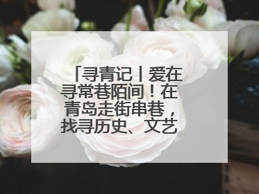 寻青记丨爱在寻常巷陌间！在青岛走街串巷，找寻历史、文艺、爱情……