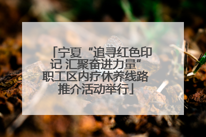 宁夏“追寻红色印记 汇聚奋进力量”职工区内疗休养线路推介活动举行