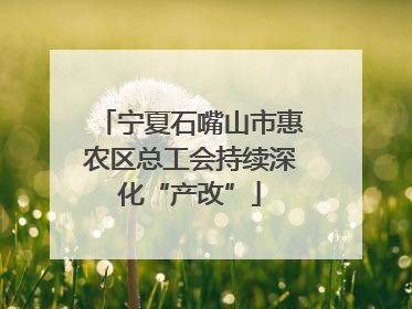 宁夏石嘴山市惠农区总工会持续深化“产改”