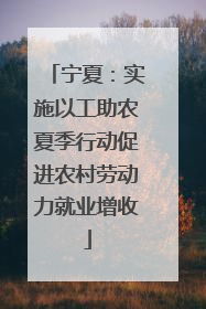 宁夏：实施以工助农夏季行动促进农村劳动力就业增收