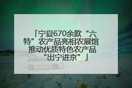宁夏670余款“六特”农产品亮相农展馆 推动优质特色农产品“出宁进京”