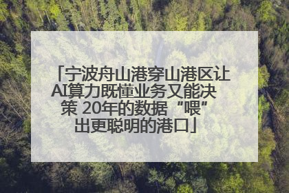 宁波舟山港穿山港区让AI算力既懂业务又能决策 20年的数据“喂”出更聪明的港口