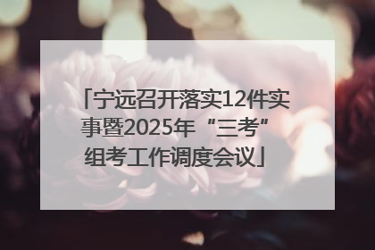 宁远召开落实12件实事暨2025年“三考”组考工作调度会议