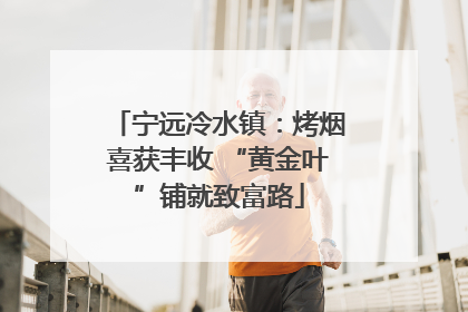 宁远冷水镇：烤烟喜获丰收 “黄金叶”铺就致富路