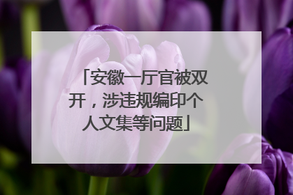 安徽一厅官被双开，涉违规编印个人文集等问题