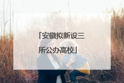 安徽拟新设三所公办高校