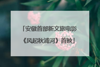 安徽首部新文旅电影《风起秋浦河》首映