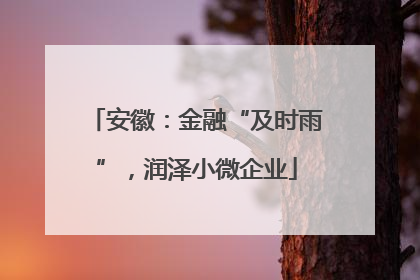安徽：金融“及时雨”，润泽小微企业