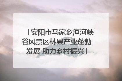 安阳市马家乡洹河峡谷风景区林果产业蓬勃发展 助力乡村振兴