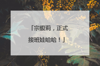 宗馥莉，正式接班娃哈哈！