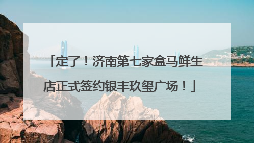 定了！济南第七家盒马鲜生店正式签约银丰玖玺广场！