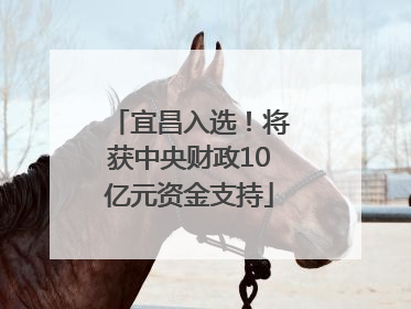 宜昌入选！将获中央财政10亿元资金支持