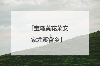 宝岛黄花菜安家尤溪畲乡
