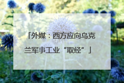外媒：西方应向乌克兰军事工业“取经”