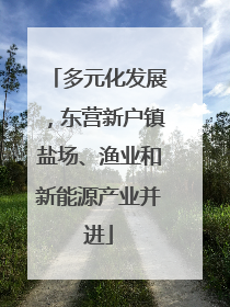 多元化发展，东营新户镇盐场、渔业和新能源产业并进