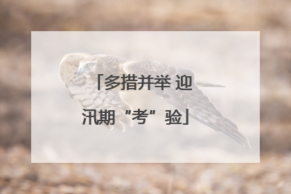 多措并举 迎汛期“考”验