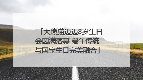 大熊猫迈迈8岁生日会圆满落幕 端午传统与国宝生日完美融合