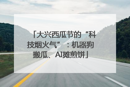 大兴西瓜节的“科技烟火气”：机器狗搬瓜、AI摊煎饼
