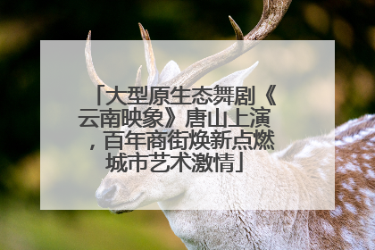 大型原生态舞剧《云南映象》唐山上演，百年商街焕新点燃城市艺术激情