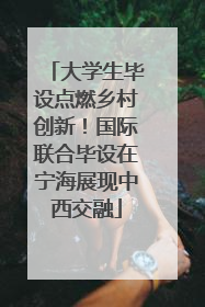大学生毕设点燃乡村创新！国际联合毕设在宁海展现中西交融