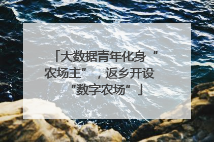 大数据青年化身“农场主”，返乡开设“数字农场”