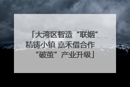 大湾区智造“联姻”精铸小镇 嘉禾借合作“破茧”产业升级