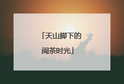 天山脚下的闽茶时光
