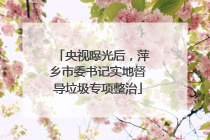 央视曝光后，萍乡市委书记实地督导垃圾专项整治