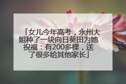 女儿今年高考，永州大姐种了一块向日葵田为她祝福：有200多棵，送了很多给其他家长