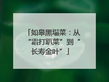 如皋黑塌菜：从“霜打趴菜”到“长寿金叶”
