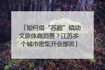 如何借“苏超”撬动文旅体商消费？江苏多个城市密集开会部署
