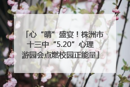 心“晴”盛宴！株洲市十三中“5.20”心理游园会点燃校园正能量