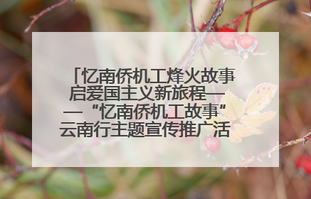 忆南侨机工烽火故事 启爱国主义新旅程——“忆南侨机工故事”云南行主题宣传推广活动圆满收官