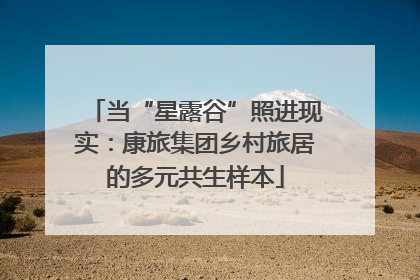 当“星露谷”照进现实：康旅集团乡村旅居的多元共生样本