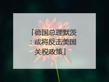 德国总理默茨：或将反击美国关税政策