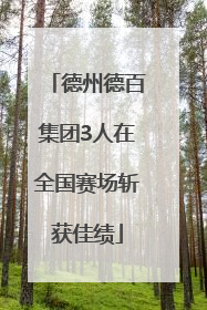 德州德百集团3人在全国赛场斩获佳绩