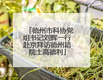 德州市科协党组书记刘辉一行赴京拜访德州籍院士高德利
