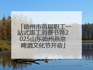 德州市首届职工一站式惠工消费节暨2025山东德州燕京啤酒文化节开幕