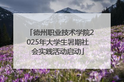 德州职业技术学院2025年大学生暑期社会实践活动启动