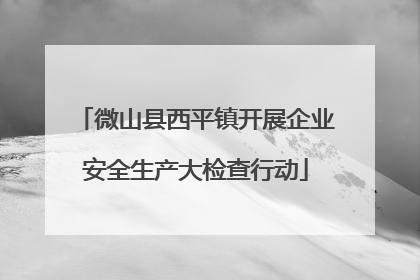 微山县西平镇开展企业安全生产大检查行动