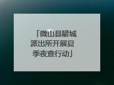 微山县驩城派出所开展夏季夜查行动