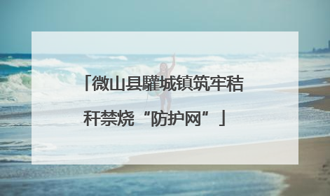 微山县驩城镇筑牢秸秆禁烧“防护网”